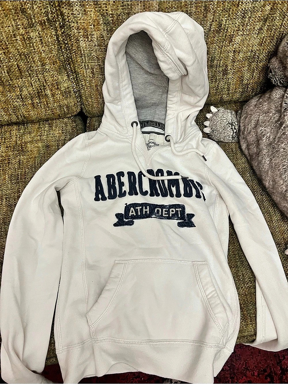 Abercrombie & Fitch Kids Logo Pullover Hoodie in White